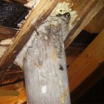 Asbestos cement pipe