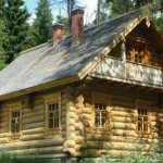 Fungus under the floor and in the basement of a wooden house: ways to combat it