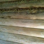 Log caulk: photo