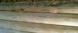 Log caulk: photo