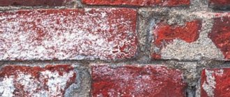 Typical efflorescence on brick