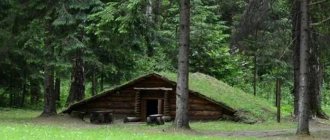 There is a small bathhouse in the forest